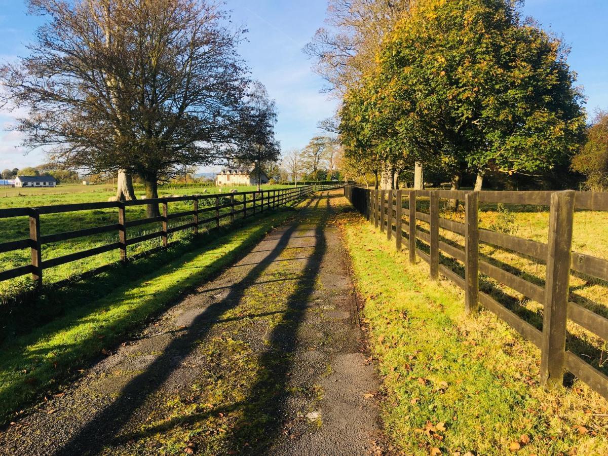 Ballymackey Lissanisky House B&B 외부 사진